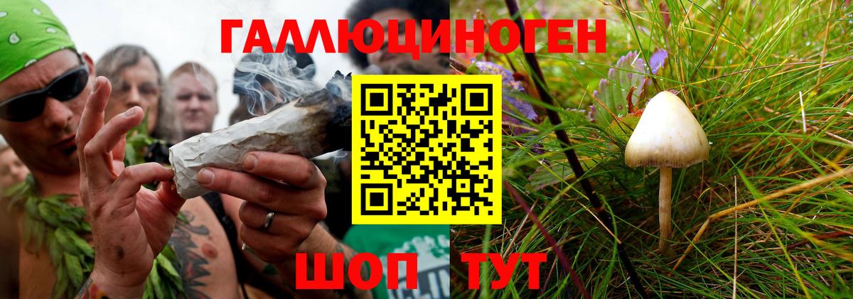 Галлюциногенные грибы GOLDEN TEACHER  закладка  Киров  Вход с VPN 